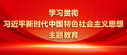 男人把小鸡鸡插入女人的屁眼里小软件学习贯彻习近平新时代中国特色社会主义思想主题教育_fororder_ad-371X160(2)
